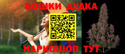 стаф Моздок