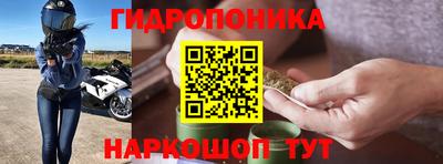 стаф Моздок