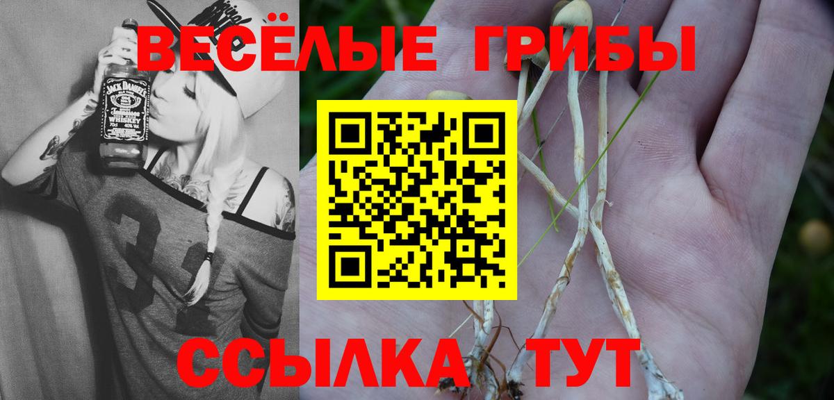Галлюциногенные грибы Magic Shrooms  Псилоцибиновые грибы Psilocybine cubensis  Сыктывкар  где можно купить наркотик  Вход с VPN 