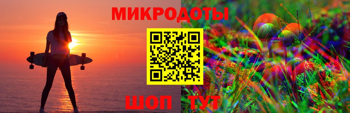 Псилоцибиновые грибы Psilocybe Сыктывкар